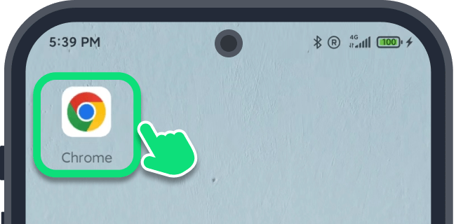 Browser Setup: 1 step